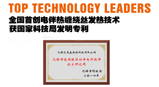 管道電伴熱帶發(fā)明專(zhuān)利